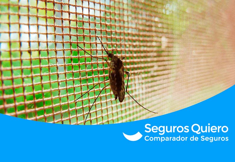 ¿Tienes alergia a las picaduras de mosquito?