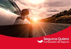 ¿Qué es la carta verde de un seguro de coche y para qué sirve?