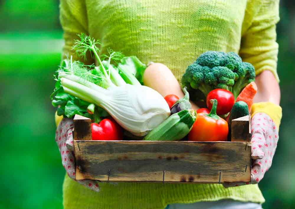 La dieta vegetariana podría modificar tu genética