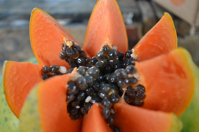 Foto_Papaya