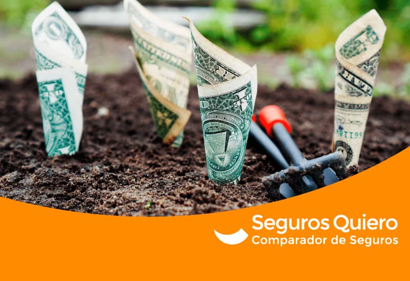 Seguros de Decesos con Prima Única 